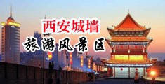 浪妇呻吟嗯啊厨房9p58co中国陕西-西安城墙旅游风景区